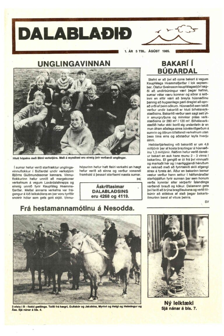 Forsíða Dalablaðsins, 5. tölublað 1985